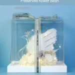 Preserved Flower Swan Acrylic Gift Box Valentine's Day Gift Birthday Gift - Image 12