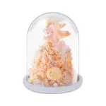 Preserved Rose Sea Princess Glass Dome Gift